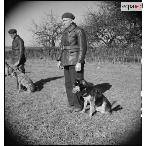 Plan large d'un soldat et de son chien lors d'une formation cynophile.