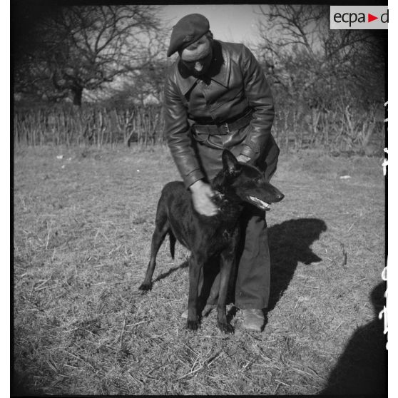 Portrait d'un soldat avec son chien lors d'une formation cynophile.
