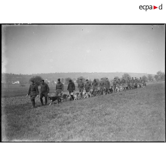 Des maîtres-chiens de la 5e armée et leur animal marchent en colonne dans un champ.