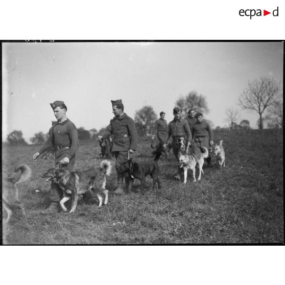 Des maîtres-chiens de la 5e armée et leur animal marchent en colonne dans un champ.