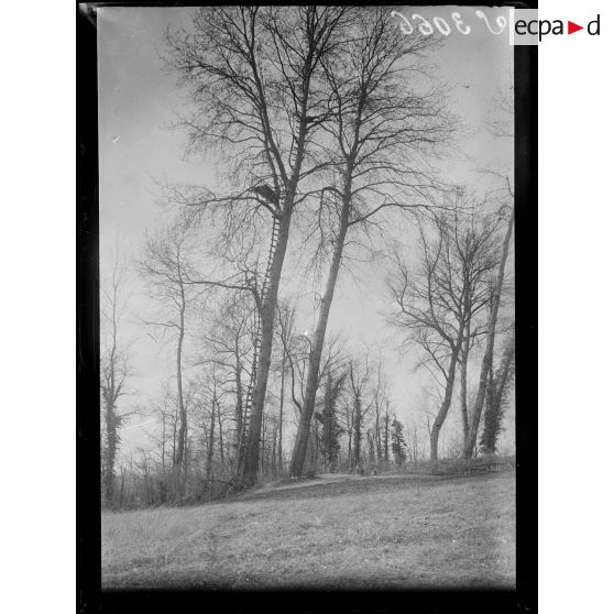 Route de Bucy-le-Long (Aisne). Un observatoire allemand. [légende d'origine]
