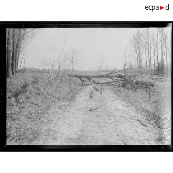 Route de Bucy-le-Long (Aisne). La voie ferrée détruite. [légende d'origine]