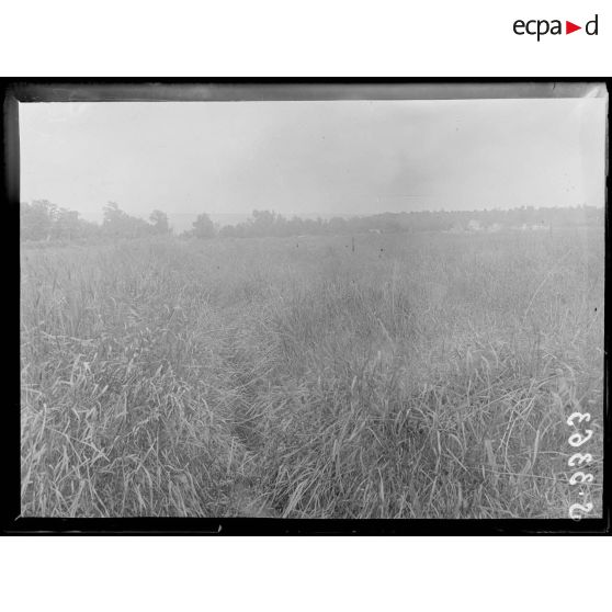 Nord de Cuffies (Aisne). Ferme de la Montagne Neuve, le boyau d'accès dans lequel a été tué M. Robert-André Michel, ce boyau est actuellement envahi par l'herbe. [légende d'origine]