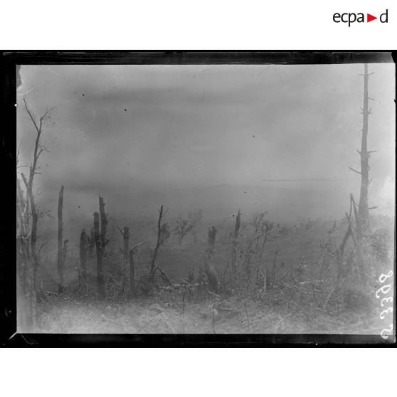 Craonnelle (Aisne). Vue prise sur Craonne, le saillant du Tyrol et le Bois de Chevreux. [légende d'origine]