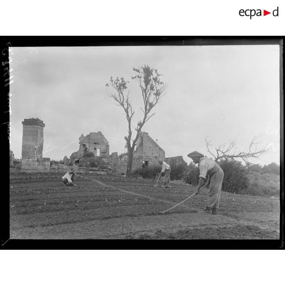 [Bucy-le-Long (Aisne). Des soldats jardinent.]