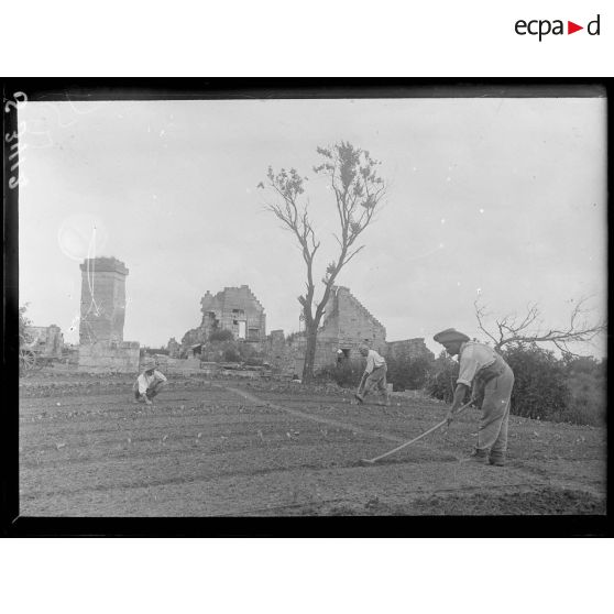 Bucy-le-Long (Aisne). Culture maraîchère par des soldats. [légende d'origine]