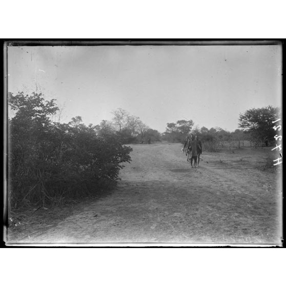 Route de Maroua à Léré. La piste à 2h 1/2 au sud de Mendif. [légende d'origine]