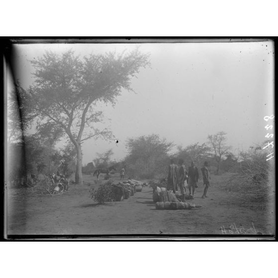Route de Maroua à Léré. La piste à 2h au sud de Lara. [légende d'origine]