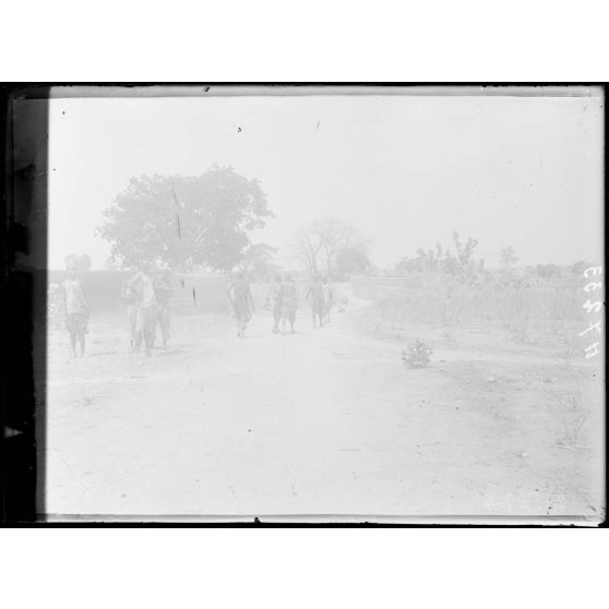 Route de Maroua à Léré. La piste à 1h15 au sud de Binder. [légende d'origine]