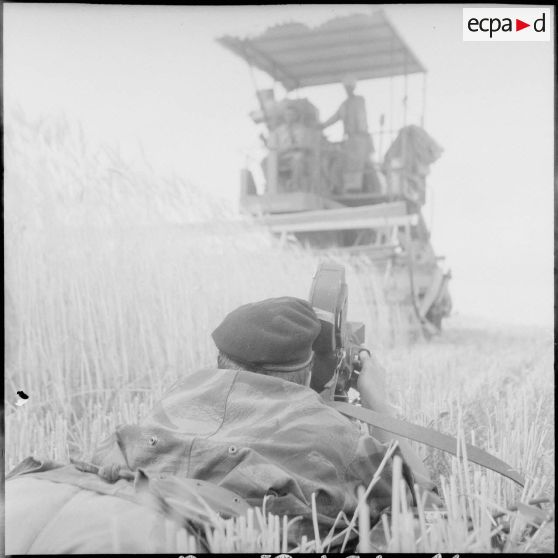 Un cameraman du SCA d'Alger filme des travailleurs agricoles. [Description en cours]
