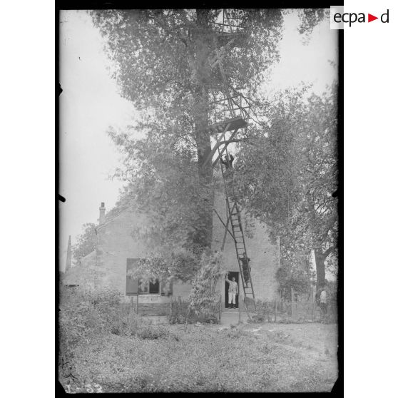 27 juillet 1915. Monthéty. Poste d'observation dans un arbre. [légende d'origine]