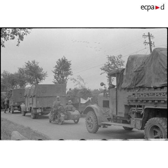 Elements logistiques de la 290e division d'infanterie allemande comme le précise l'insigne en forme de glaive.