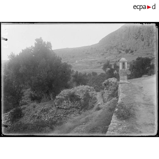 Delphes. Chapelle (niche sainte) et les oliviers. [légende d'origine]