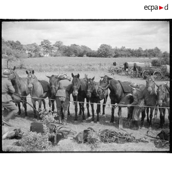 Arrivée des artilleurs de la batterie d'artillerie dans le village.