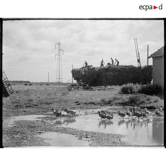 Des artilleurs déchargent une charrette pour constituer une meule.