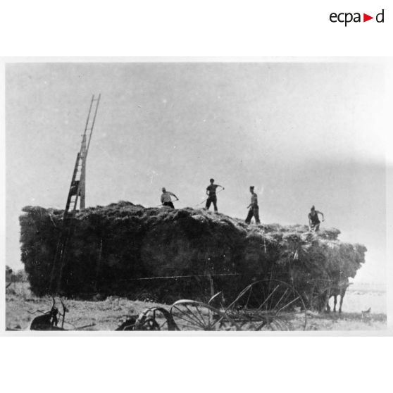 Des artilleurs déchargent une charrette pour constituer une meule.