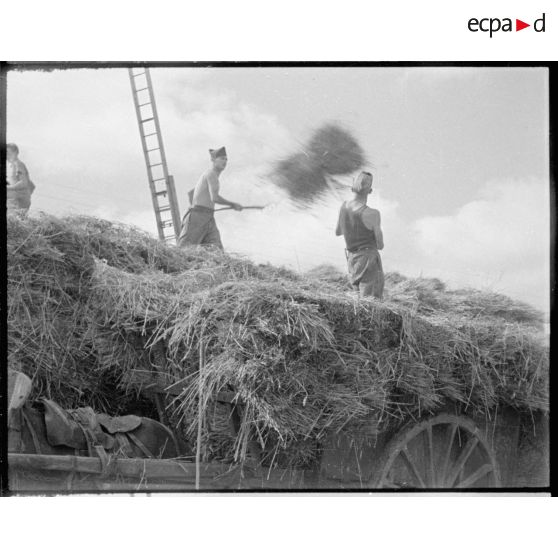 Des artilleurs déchargent une charrette pour constituer une meule.