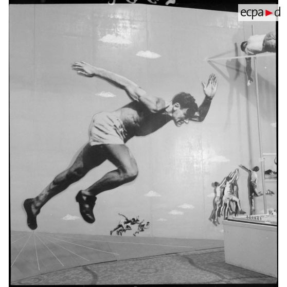 Exposition consacrée à l'armée d'armistice ou l'armée nouvelle.