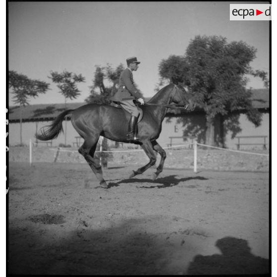 Epreuve de dressage du concours.