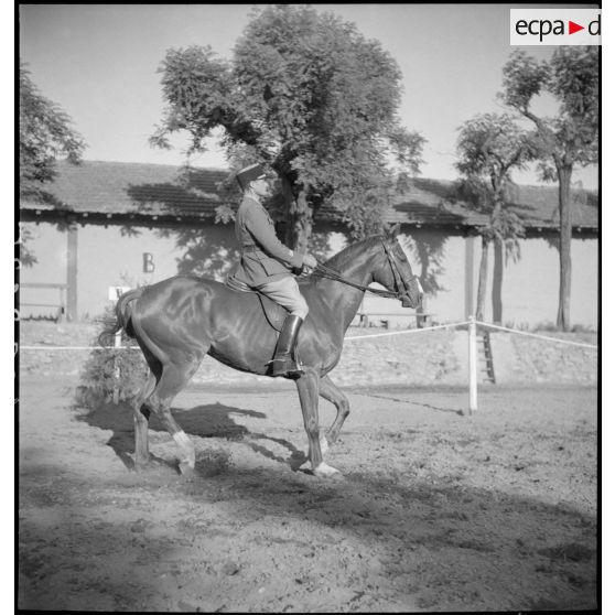 Epreuve de dressage du concours.