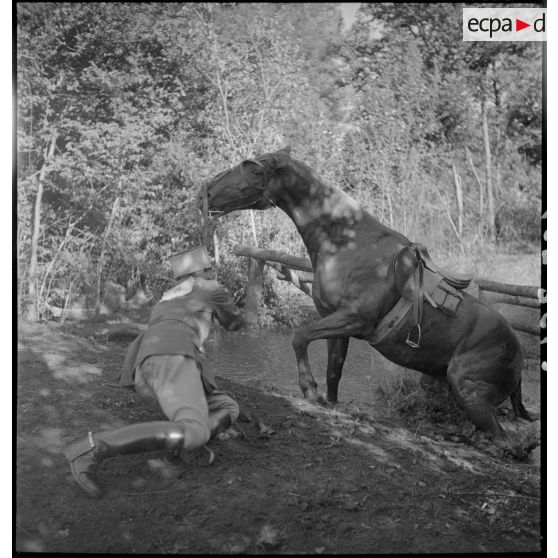 Epreuve de cross-country du concours.