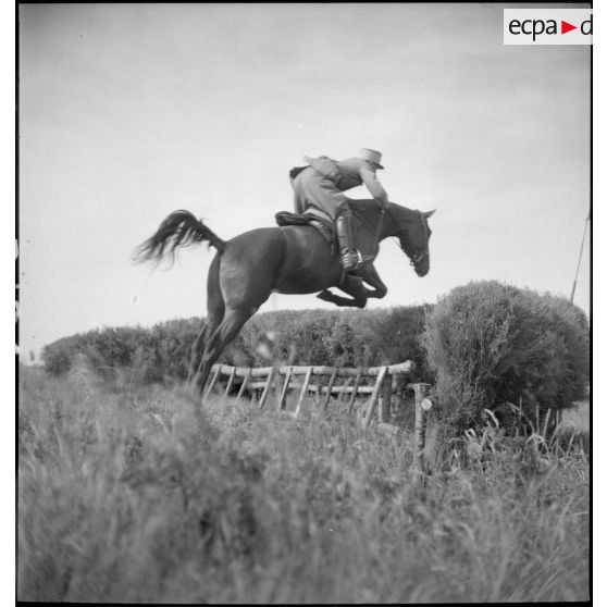 Epreuve de cross-country du concours.