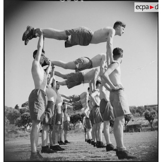 Séance d'hébertisme à la 15e compagnie (ou 15e escadron) du train.