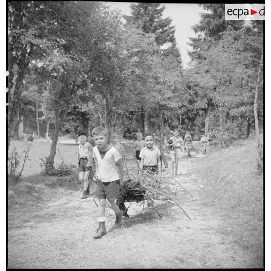 Corvée de bois pour un feu de camp.