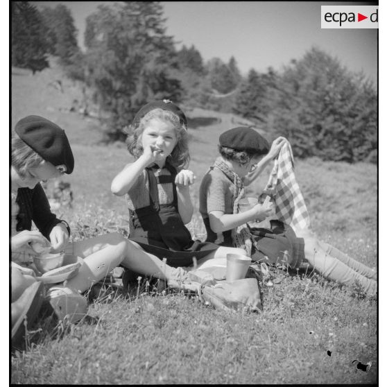 Déjeuner sur l'herbe.