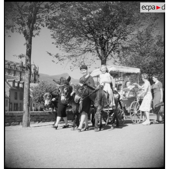 Promenade avec des ânes.