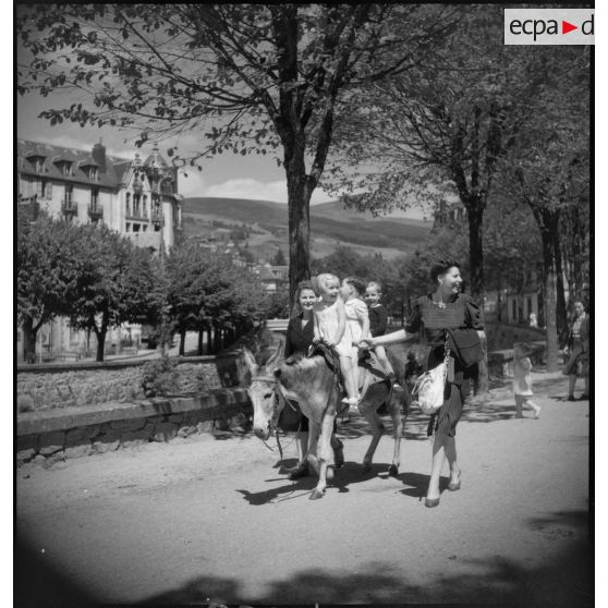 Promenade avec des ânes.