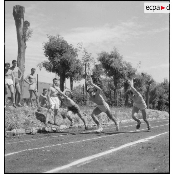 Séance d'hébertisme à l'EMP d'Autun, repliée à Valence.