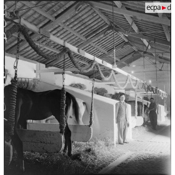 Les écuries du 23e RI.