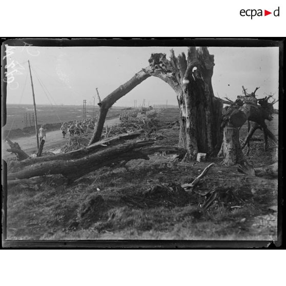 Troupes montant aux tranchées. [légende d'origine]