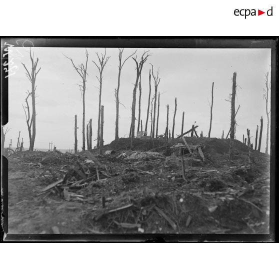 Vue prise près de Maurepas. [légende d'origine]