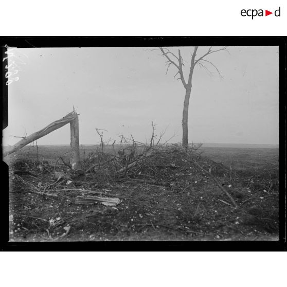 Le Forest, emplacement d'une ancienne batterie allemande. [légende d'origine]