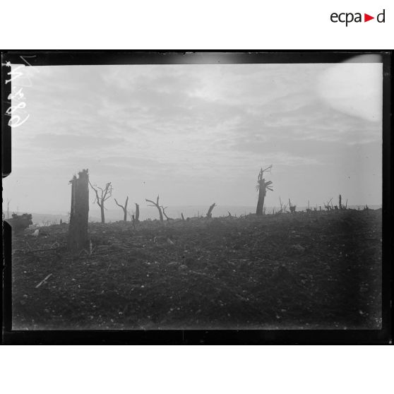 Le Forest, emplacement d'une ancienne batterie allemande. [légende d'origine]