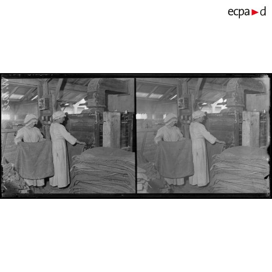 Les sacs sont placés dans les appareils à battre. [légende d'origine]