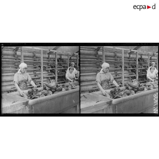 Le nettoyage des chaussures. [légende d'origine]