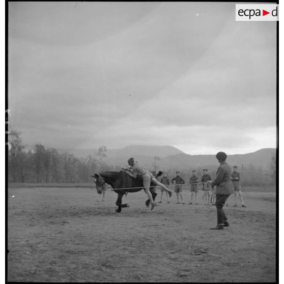 Exercice de voltige à cheval au centre Bayard.