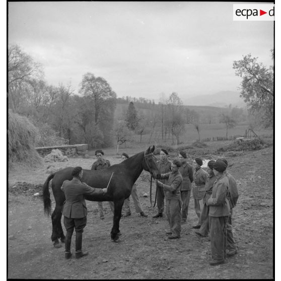 Instruction sur le cheval au centre d'éducation Bayard.