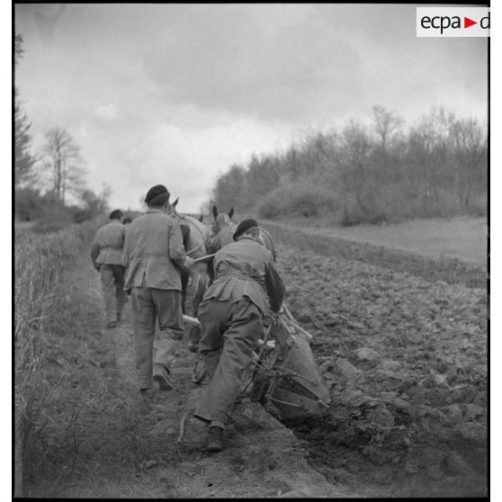 Labour des champs au centre d'éducation Bayard.