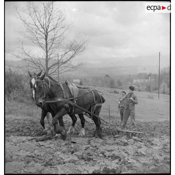 Labour des champs au centre d'éducation Bayard.
