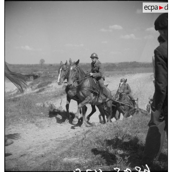 Batteries attelées de canons de 75 mm M1897.