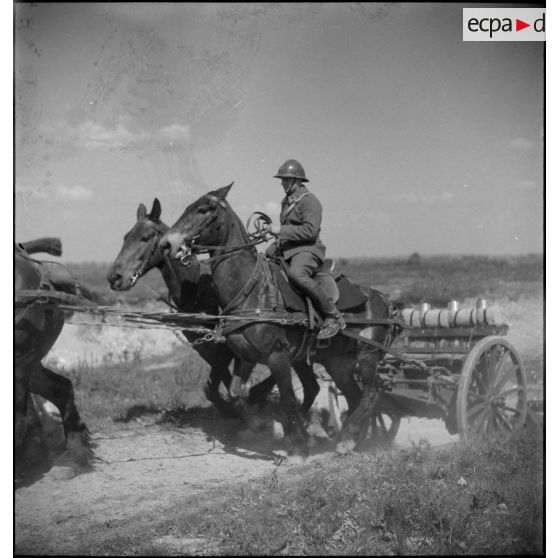 Batteries attelées de canons de 75 mm M1897.