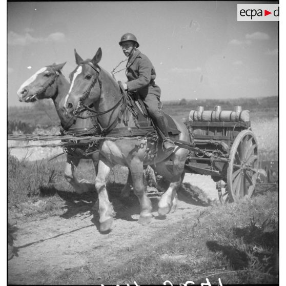 Batteries attelées de canons de 75 mm M1897.