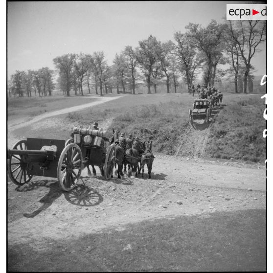 Batteries attelées de canons de 75 mm M1897.