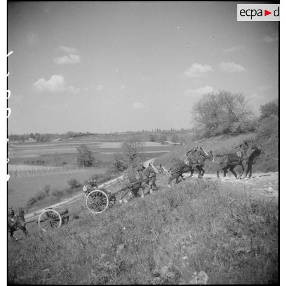 Batteries attelées de canons de 75 mm M1897.