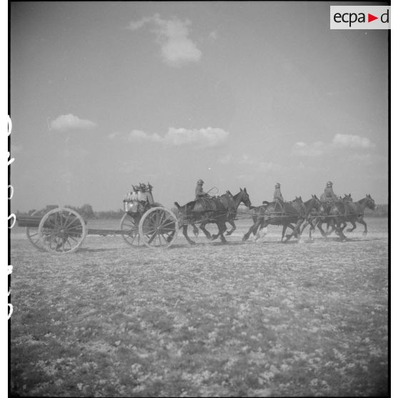 Batteries attelées de canons de 75 mm M1897.