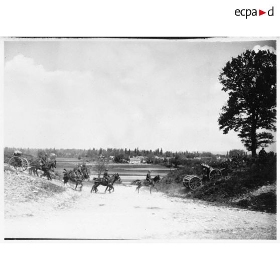 Batteries attelées de canons de 75 mm M1897.